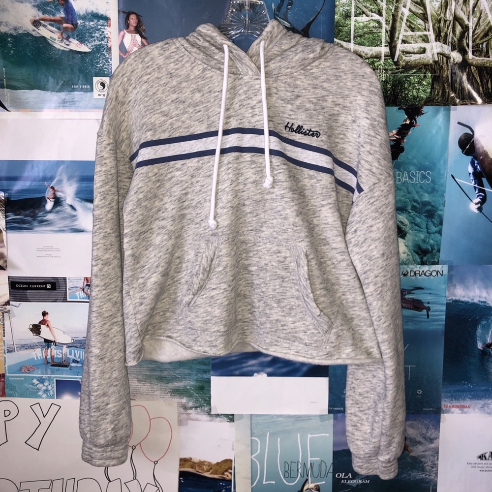 Hollister Crop Hoodie